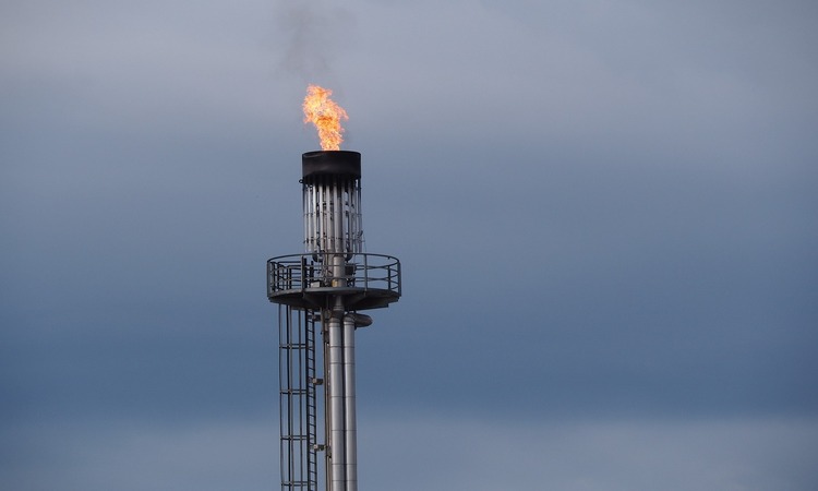 Llama en una planta de extracción de petróleo y gas natural