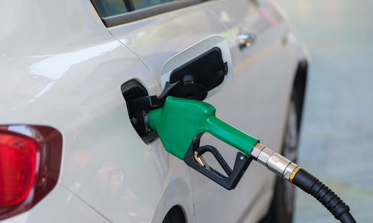 Combustibles renovables