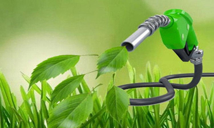 Combustibles basados en componentes orgánicos