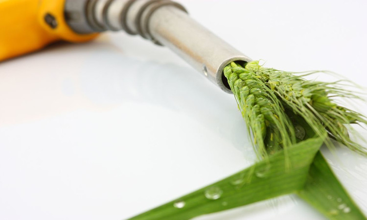 Combustible Verde