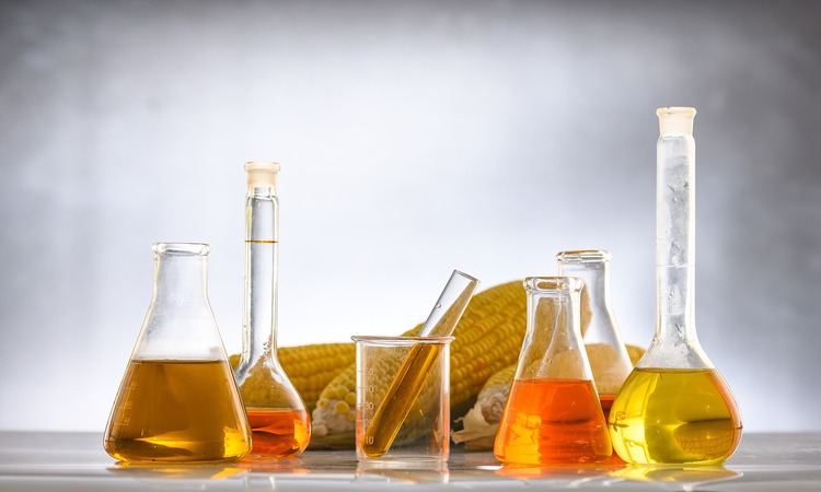 Matraces de biodiesel