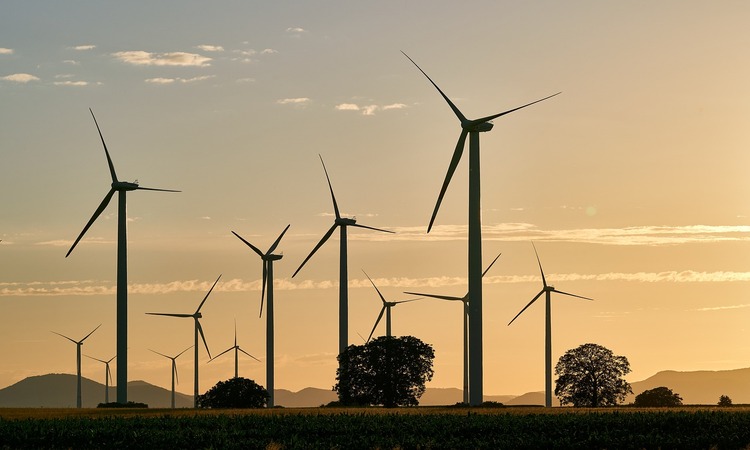 Molinos de energía eólica