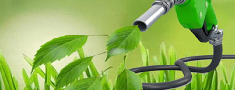 Combustibles basados en componentes orgánicos
