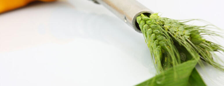 Combustible Verde